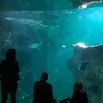 Nuit Insolite Sur Un Voilier Au Coeur De La Rochelle