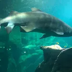 Båthotell Nuit Insolite Sur Un Voilier Au Coeur De La Rochelle