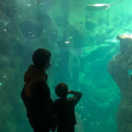 Nuit Insolite Sur Un Voilier Au Coeur De La Rochelle Botel *