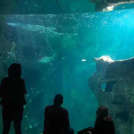 Nuit Insolite Sur Un Voilier Au Coeur De La Rochelle