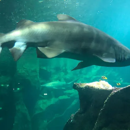 船上ホテル Nuit Insolite Sur Un Voilier Au Coeur De La Rochelle